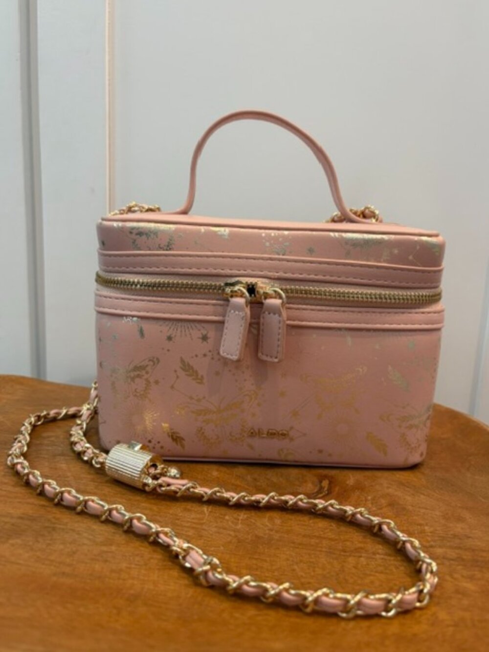 ALDO train case/handbag NWOT